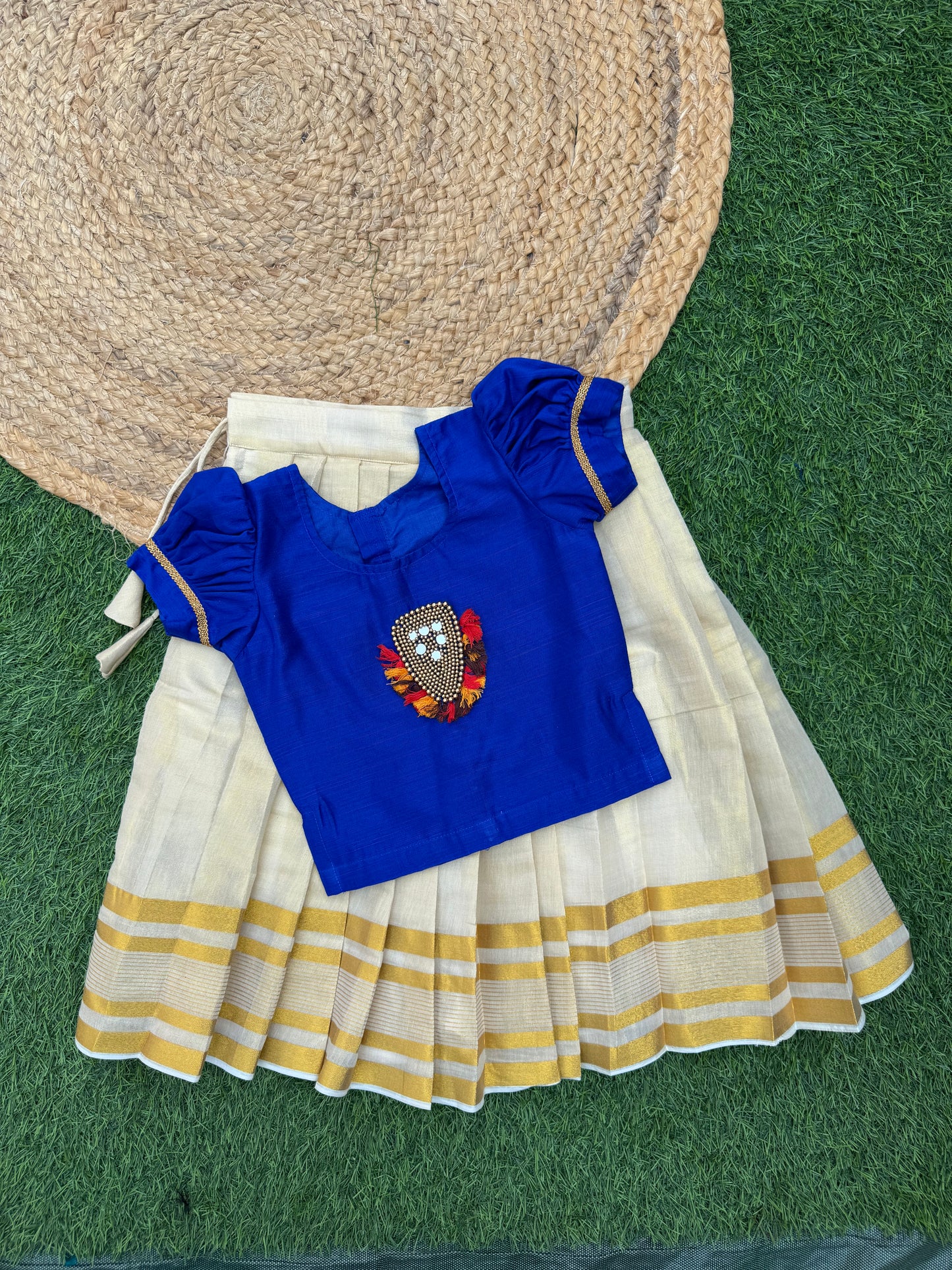 Elephant Mirror Work Top And Skirt